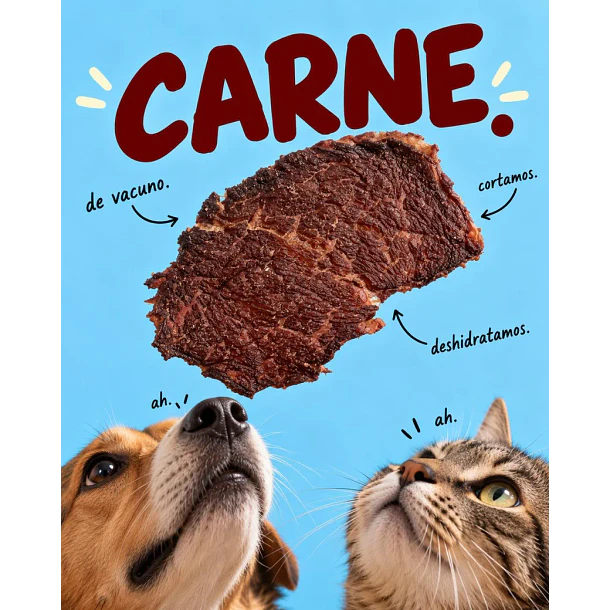 BONAPET SNACK CHARKI VACUNO 40 GR 2