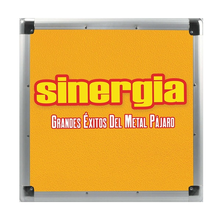 Vinilo Sinergia - Grandes Éxitos Del Metal Pájaro 1