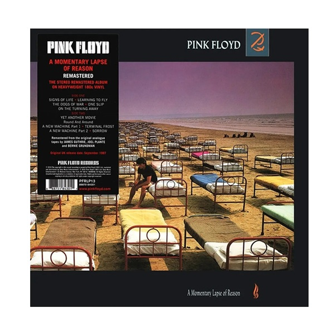Vinilo Pink Floyd - A Momentary Lapse Of Reason 1