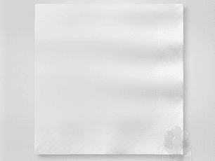 Servilletas de Papel Blanco 20 Unidades 25 x 25 cm