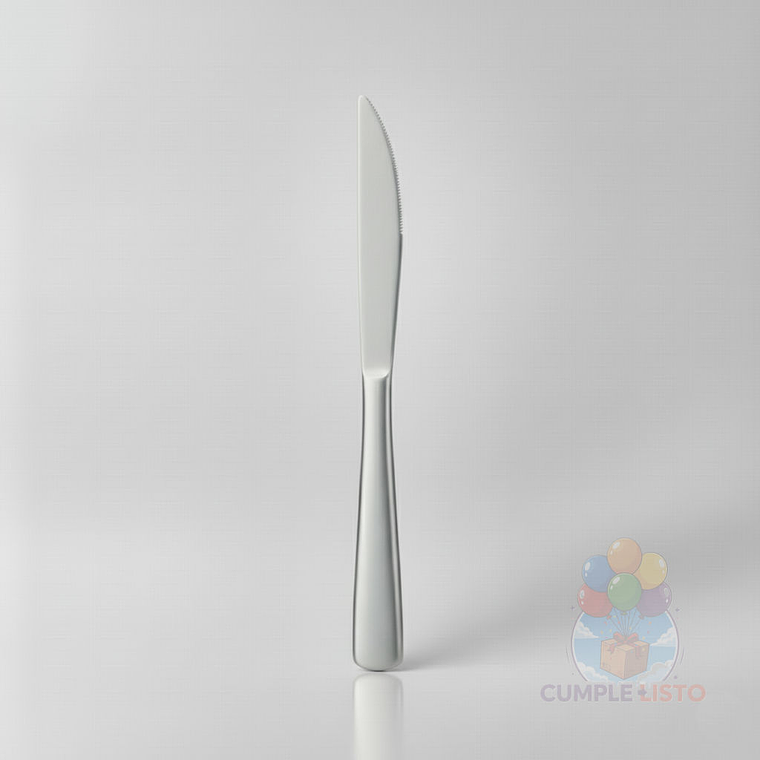 12 Cuchillos Plásticos Metalizados Plateado Premium 1