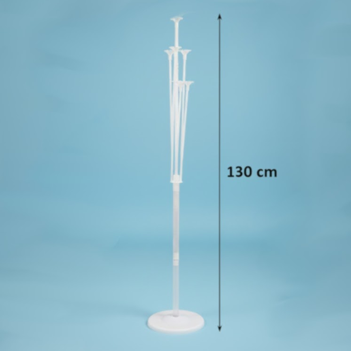 Fiesta Dino Party 10