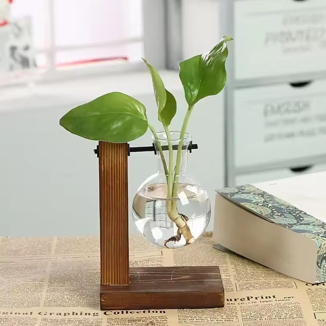 Terrário de Plantas Vintage 2