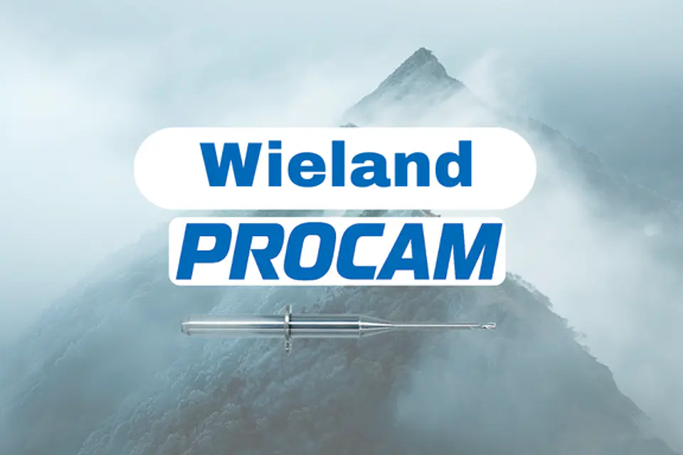 Fresas Wieland - PMMA / WAX 1