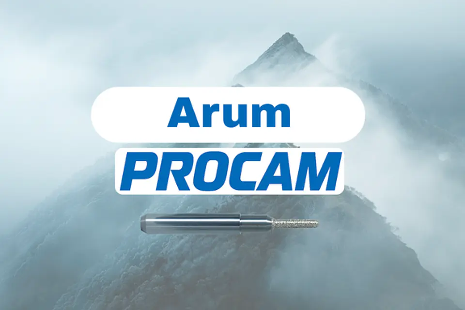 Fresas Arum - Glass Ceramic 1