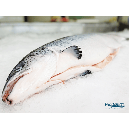 Salmón Filete con o sin Piel Kg.