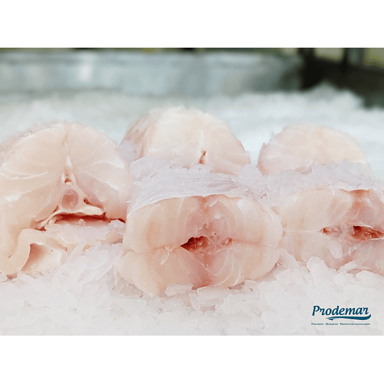 Congrio Dorado Medallones Kg.