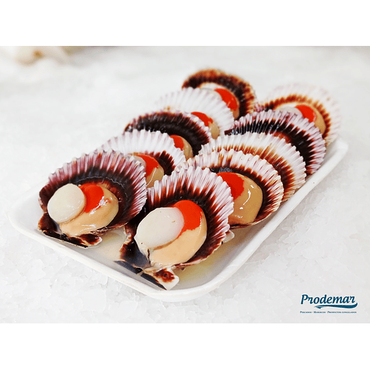 Ostiones Media Concha 10 uni.