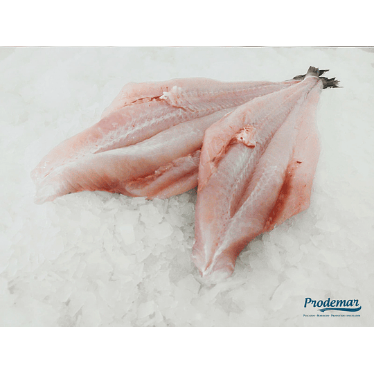 Merluza Filete Kg.