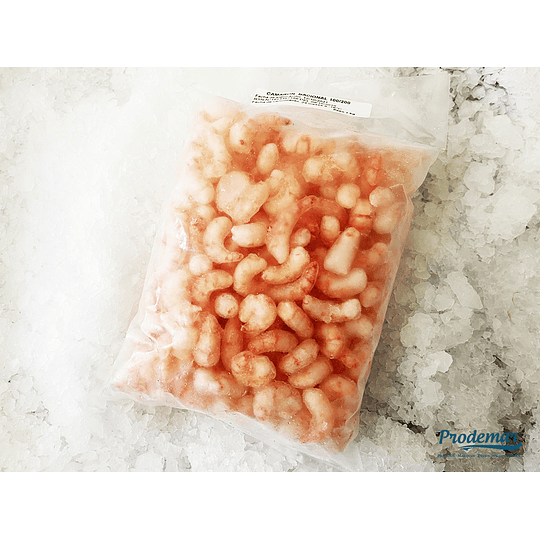 Camarón Nacional 100/200