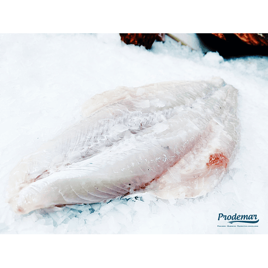 Merluza Autral Filete Kg.
