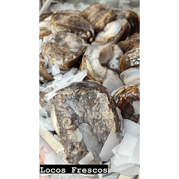 Locos Frescos Kg.