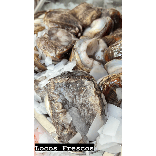 Locos Frescos Kg.