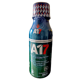 A17