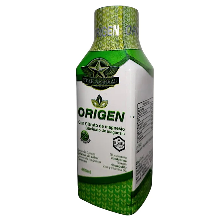 ORIGEN 1
