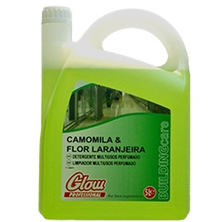 Detergente Perfumado Multiusos 5L GLOW 1