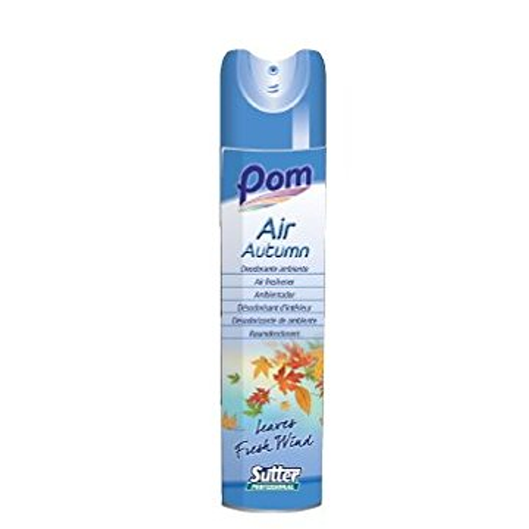 AIR AUTUMN Desodorizante de ambiente em aerossol 300ML 1