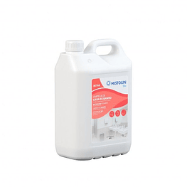 Detergente Limpeza Casa Banho Mistolin Pro 5L