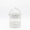 Butterfly Cage