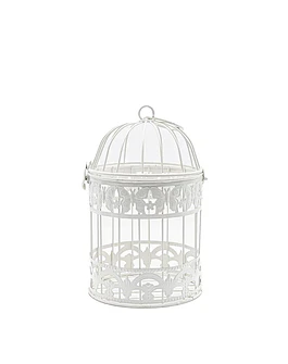 Butterfly Cage