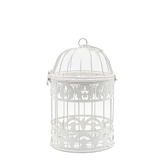 Butterfly Cage