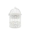 Butterfly Cage