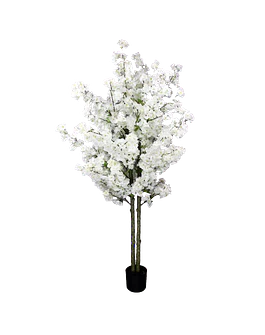 Tree with Flowers