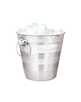 Ice Bucket