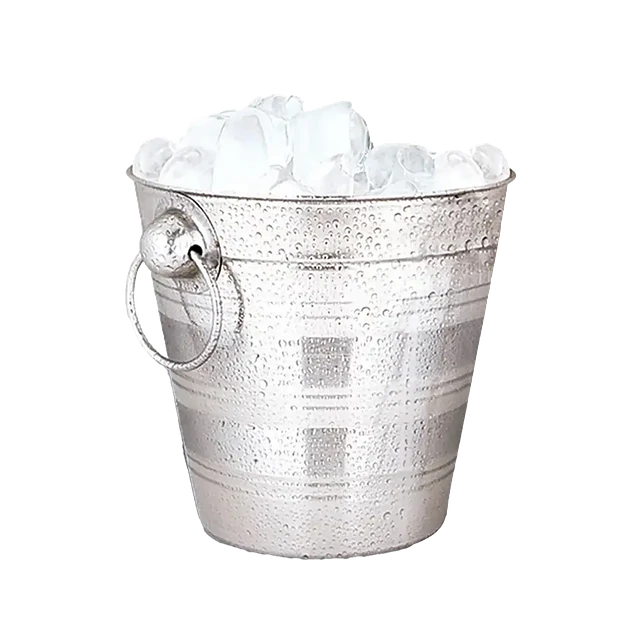 Ice Bucket