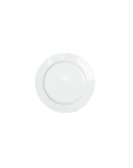 Dinner Plate