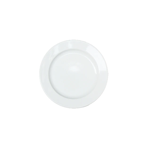 Dinner Plate