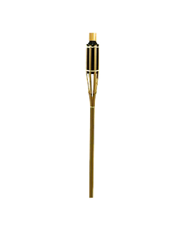 Torch