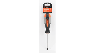 DESTORNILLADOR TORX T30 X 100 MM. (4