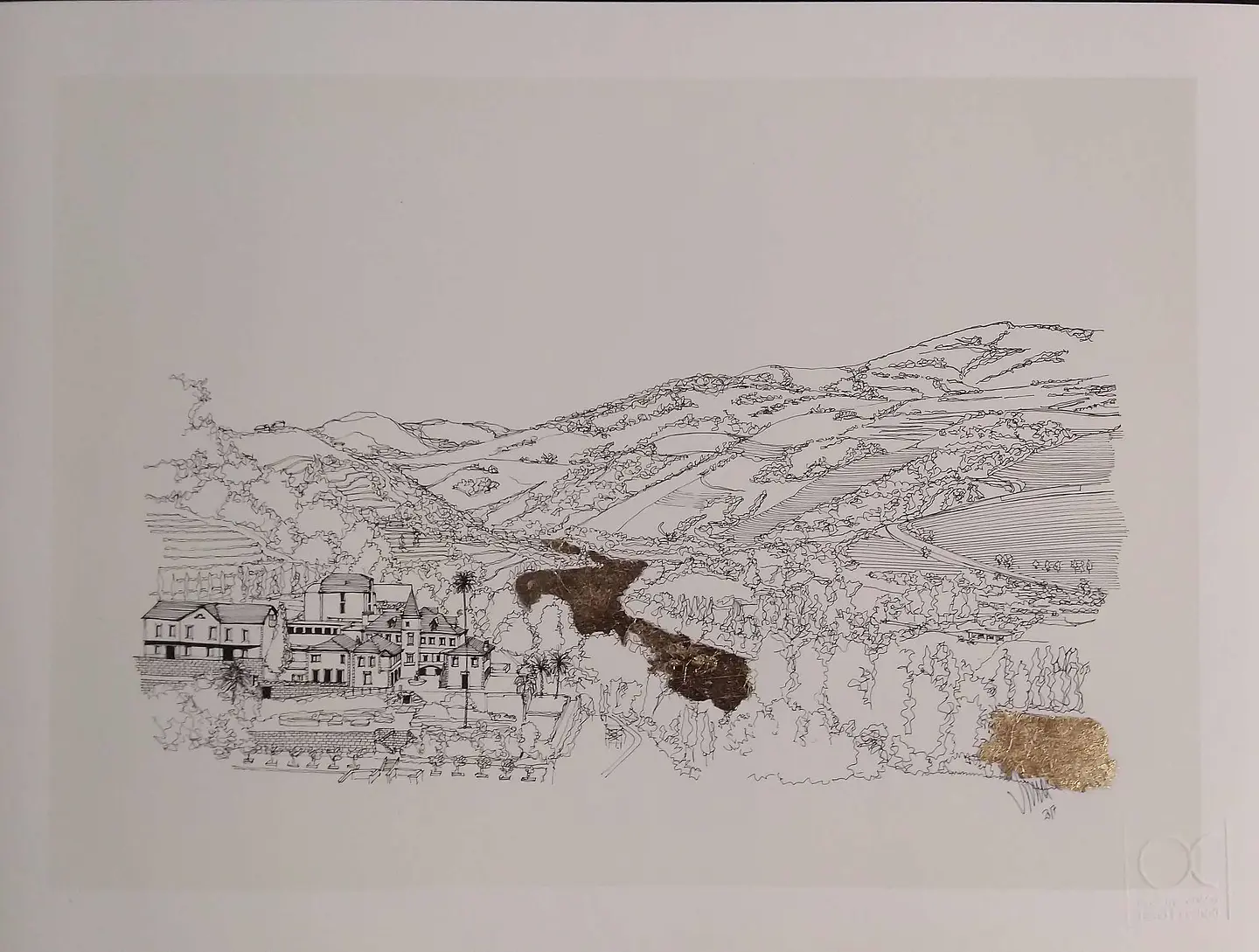 Vale do Rio Douro / Douro River Valley   2