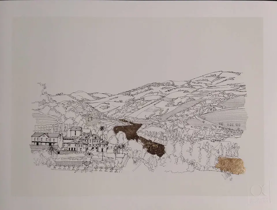 Vale do Rio Douro / Douro River Valley   2