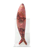 Sardine Carmo - thumbnail 2