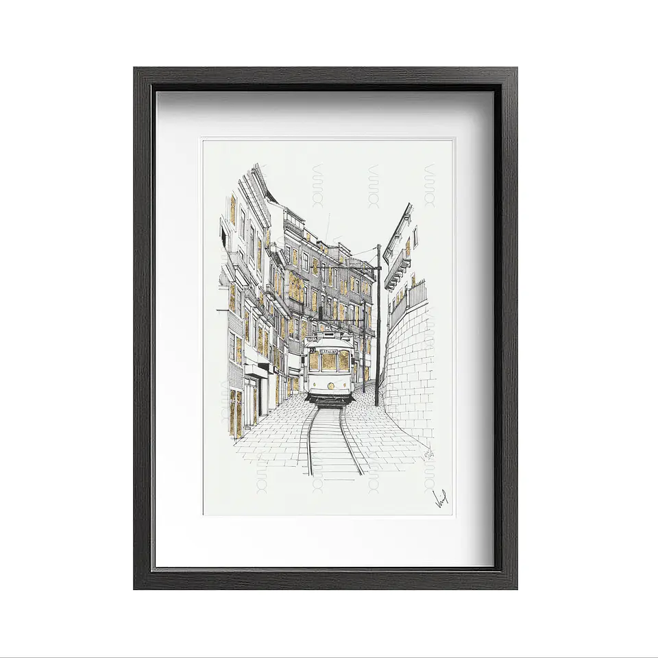 Rua da Assunção / Assunção Street  1