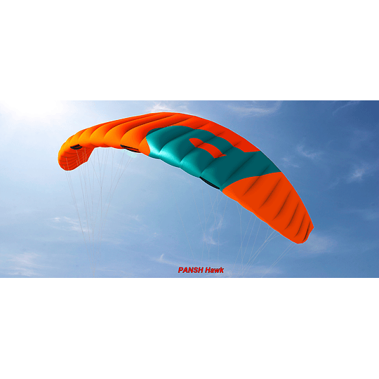 Kite Snowkite Pansh HAWK II - Image 1