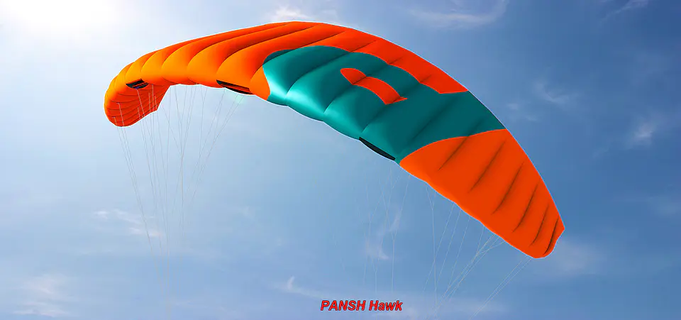 Kite Snowkite Pansh HAWK II 1