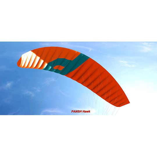 Kite Snowkite Pansh HAWK II - Image 3