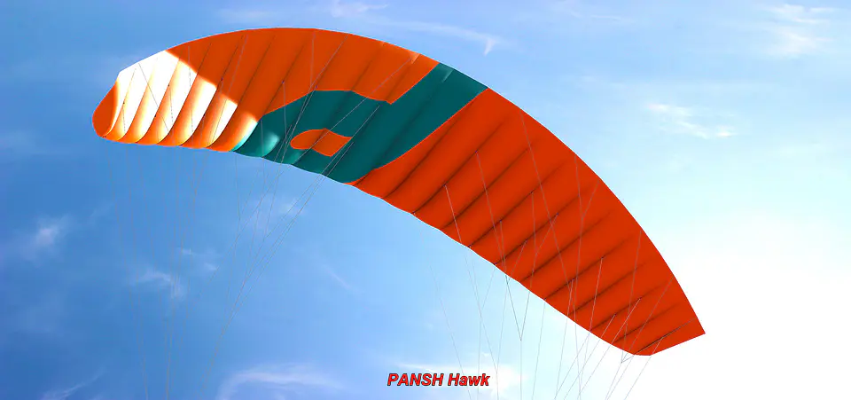 Kite Snowkite Pansh HAWK II 3