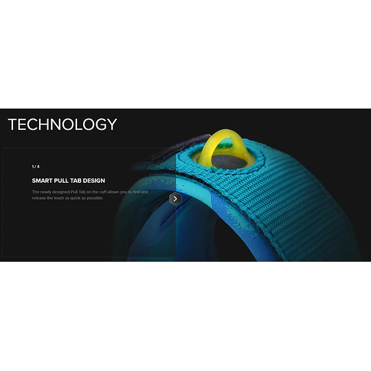 SUP Wingfoil LEASH 10