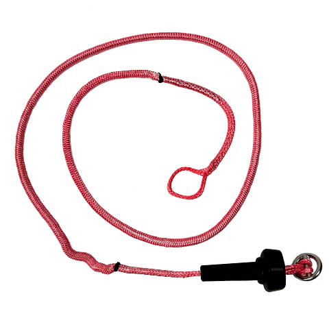 Flagging line </br> Reedin 