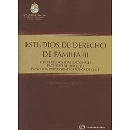 Estudios De Derecho De Familia Iii