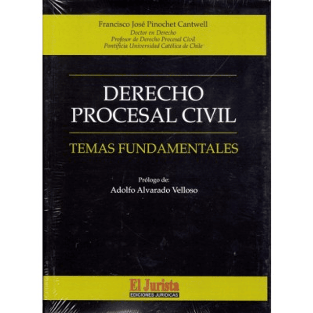Derecho Procesal Civil Temas Fundamentales