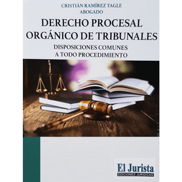 Derecho Procesal Orgánico De Tribunales, Disposiciones Comunes A Todo Procedimiento