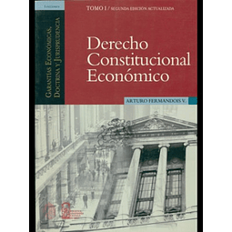 Derecho Constitucional Económico Tomo I