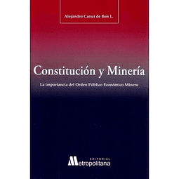 Constitución Y Minería