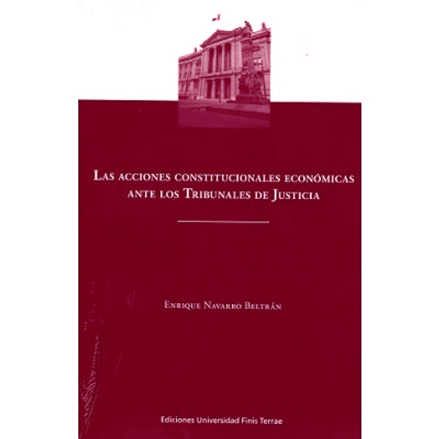 Las Acciones Constitucionales Económicas Ante Los Tribunales De Justicia
