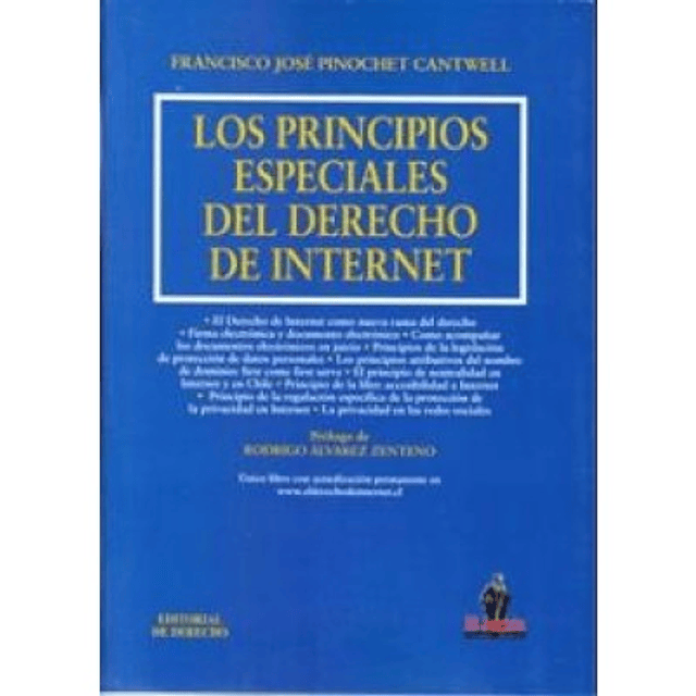 Los Principios Especiales Del Derecho De Internet